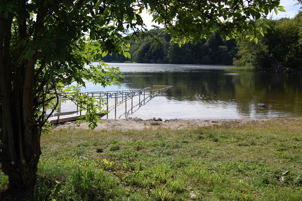 DSC_0390.JPG