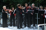 Flotte-brygga för violinkonsert, Holland